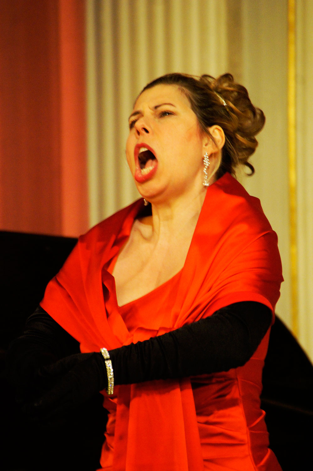 PRE-OPERNBALL-KONZERT 22.2.2019, Wien, Arno Raunig und Freunde in den Borromäus-Saal